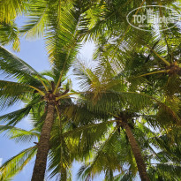 фото из отзыва ID 2709335