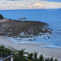 фото из отзыва ID 2709335