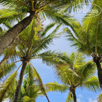 фото из отзыва ID 2709335