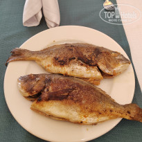 фото из отзыва ID 2709347