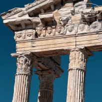 фото из отзыва ID 2709351