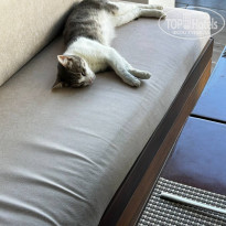 фото из отзыва ID 2709351