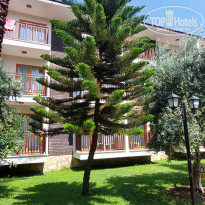 фото из отзыва ID 2705516