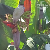 фото из отзыва ID 2705516