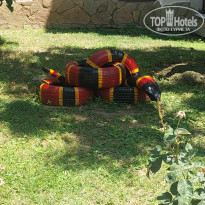 фото из отзыва ID 2705516