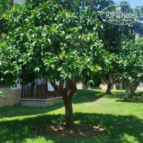 фото из отзыва ID 2705516