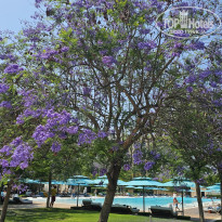 фото из отзыва ID 2709374