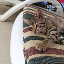 фото из отзыва ID 2709399