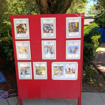 фото из отзыва ID 2709399