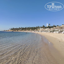 фото из отзыва ID 2709405