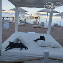 фото из отзыва ID 2709405