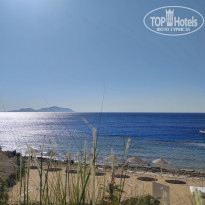 фото из отзыва ID 2709405