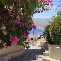 фото из отзыва ID 2709405