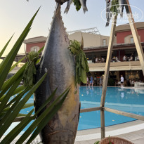 фото из отзыва ID 2709409