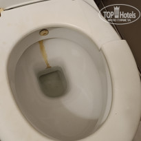 фото из отзыва ID 2709427