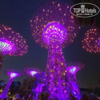 фото из отзыва ID 2709448