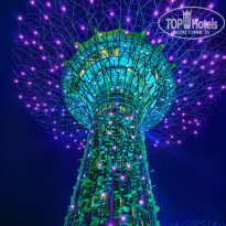 фото из отзыва ID 2709448