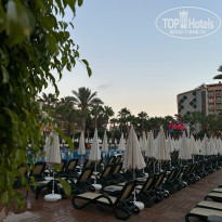 фото из отзыва ID 2709450