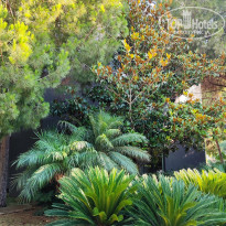 фото из отзыва ID 2709498