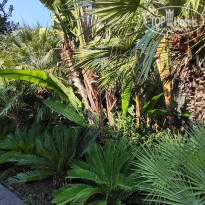 фото из отзыва ID 2709498