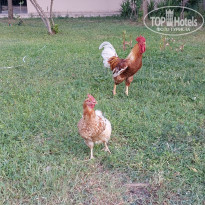 фото из отзыва ID 2709514