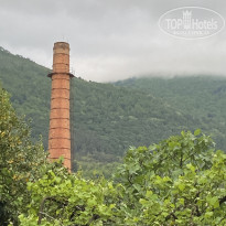 фото из отзыва ID 2709528