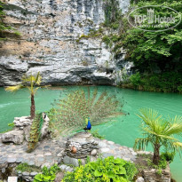 фото из отзыва ID 2709528