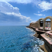 фото из отзыва ID 2709546