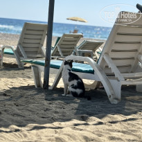 фото из отзыва ID 2709552