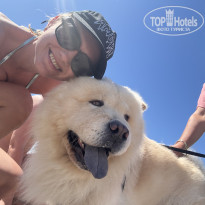 фото из отзыва ID 2709552