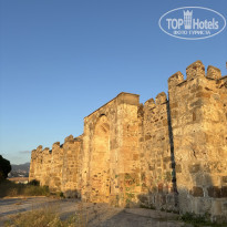 фото из отзыва ID 2709552