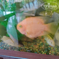 фото из отзыва ID 2707057