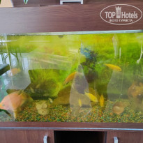 фото из отзыва ID 2707057