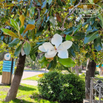 фото из отзыва ID 2707057