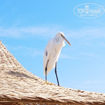 фото из отзыва ID 2709656