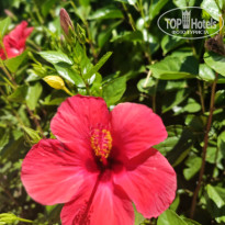 фото из отзыва ID 2709672