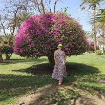 фото из отзыва ID 2709694