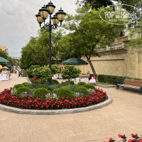 фото из отзыва ID 2709540