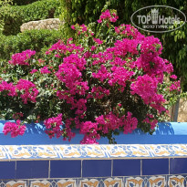 фото из отзыва ID 2709712
