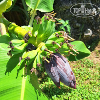 фото из отзыва ID 2709758