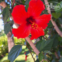 фото из отзыва ID 2709758