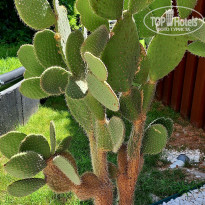 фото из отзыва ID 2709758