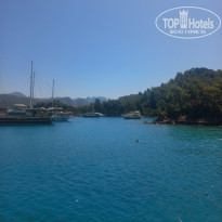 фото из отзыва ID 2709707