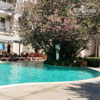 фото из отзыва ID 2709770