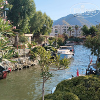 фото из отзыва ID 2709770