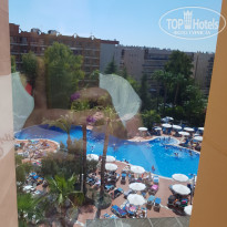 фото из отзыва ID 2709775