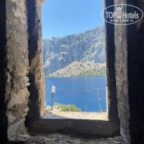 фото из отзыва ID 2709707