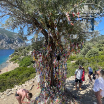 фото из отзыва ID 2709707