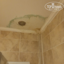 фото из отзыва ID 2709808