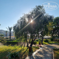 фото из отзыва ID 2709812